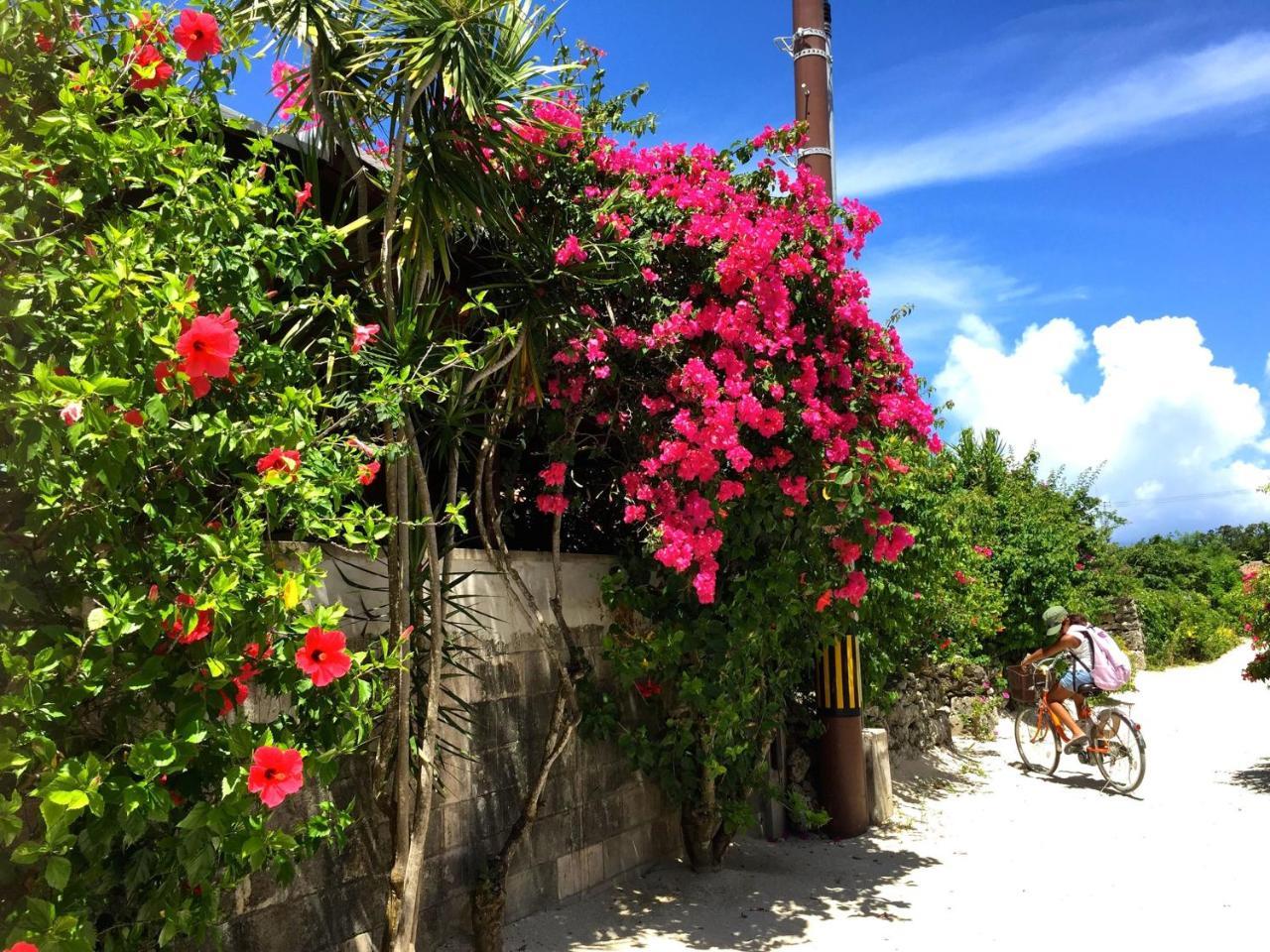 Guesthouse Ho Aloha Ishigaki  Dış mekan fotoğraf