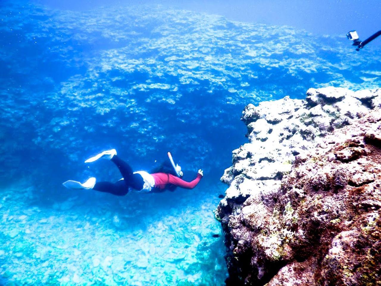 Guesthouse Ho Aloha Ishigaki  Dış mekan fotoğraf